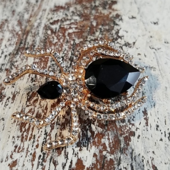 Jewelry - Black Widow Rhinestone Brooch